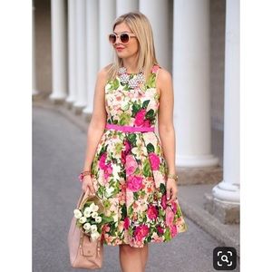 Eliza J Floral Fit & Flare Pleated Dress 10P